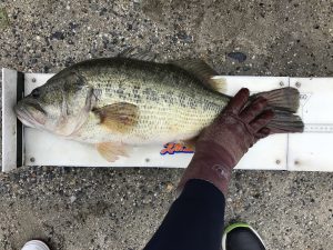 写真 2017-04-18 9 13 24